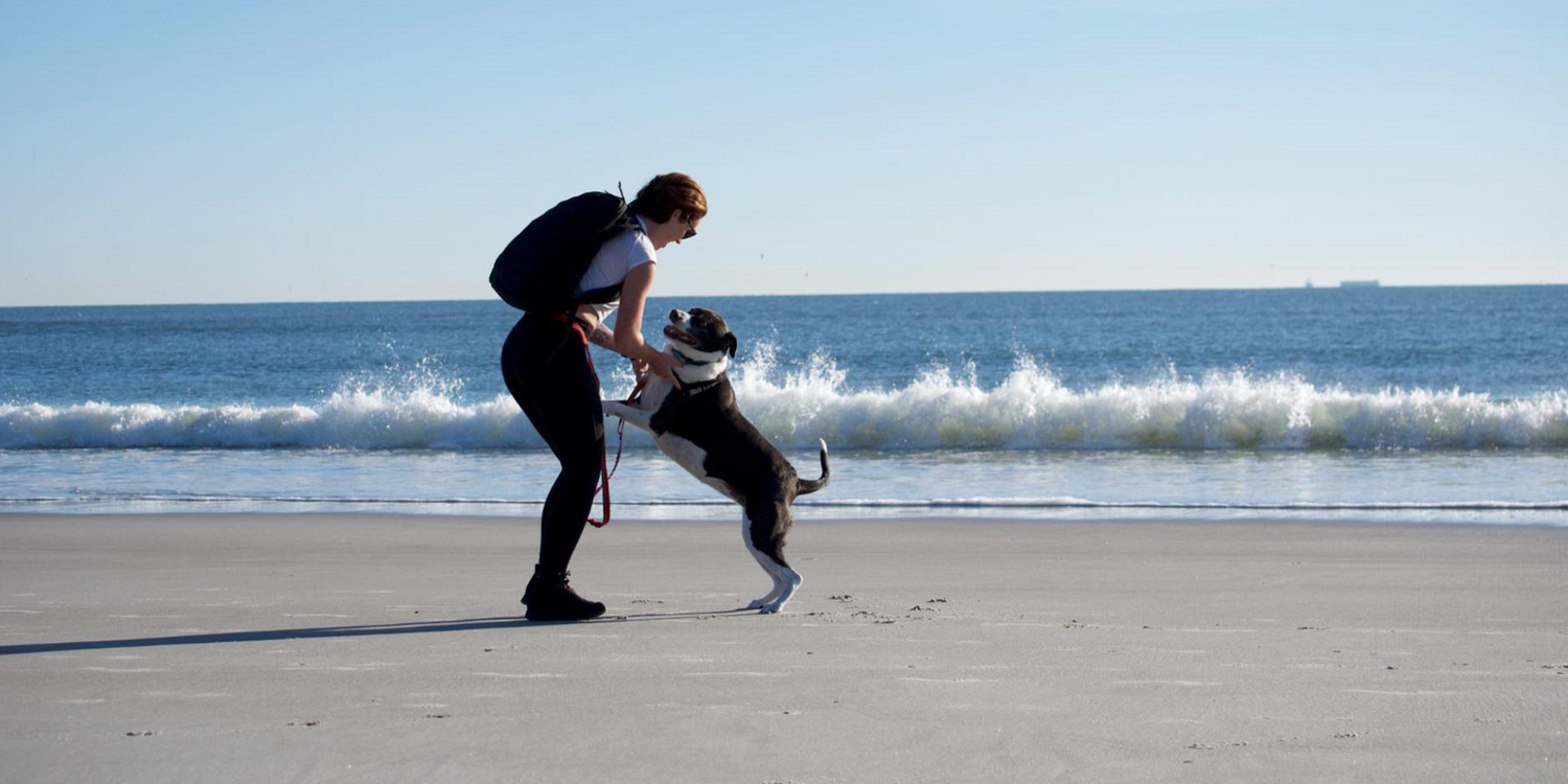 Person wearing GORUCK backpack playing with dog on sandy beach by the ocean