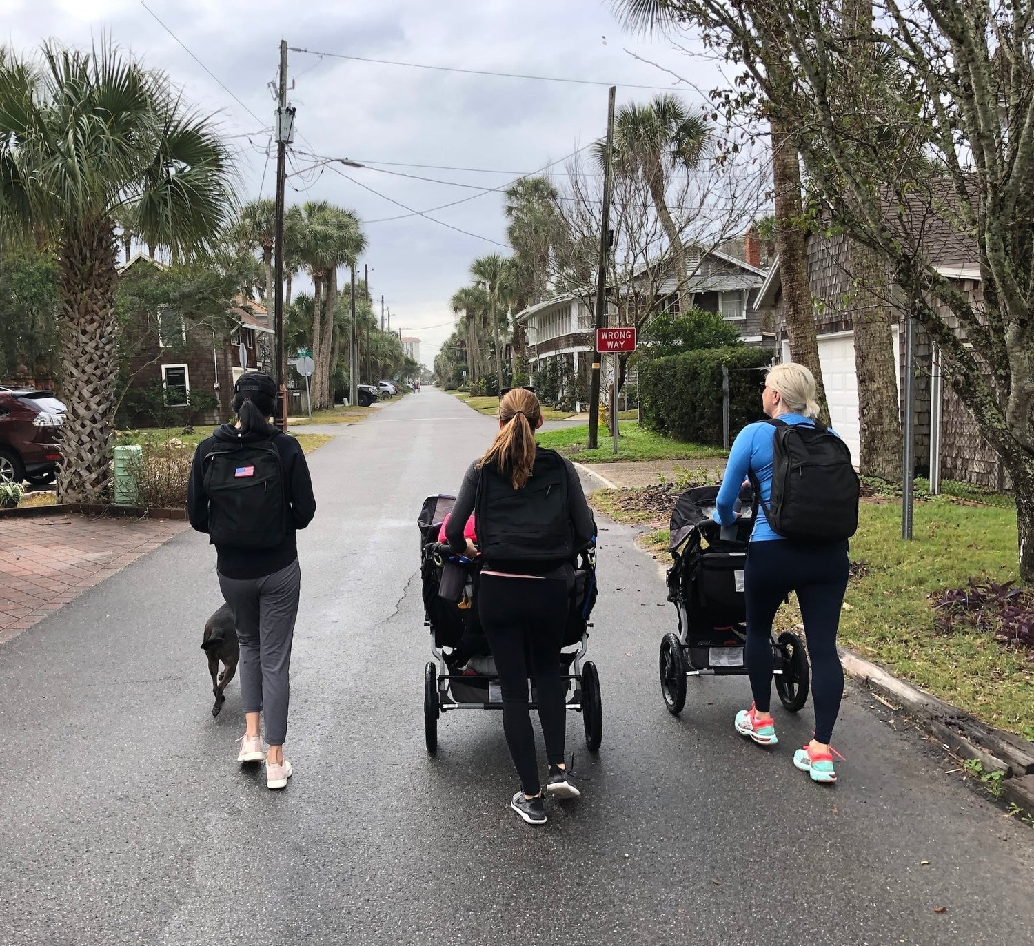 Three women with strollers and GORUCK backpacks walking on a palm-lined street