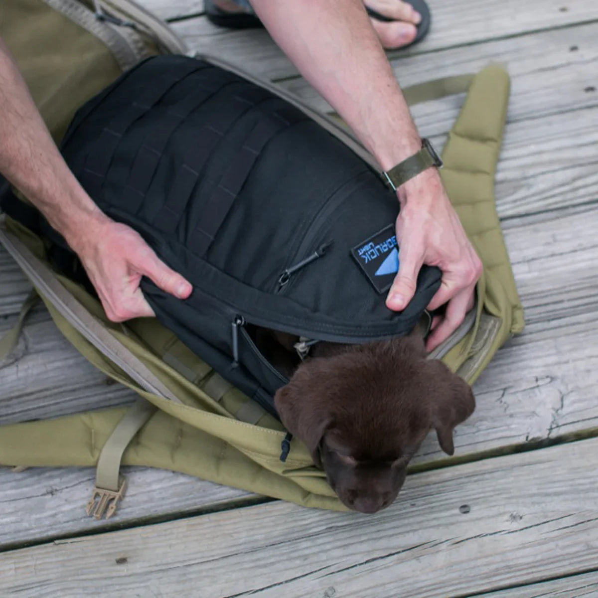 Person placing a brown puppy in a GORUCK black rucksack outdoors on wooden deck