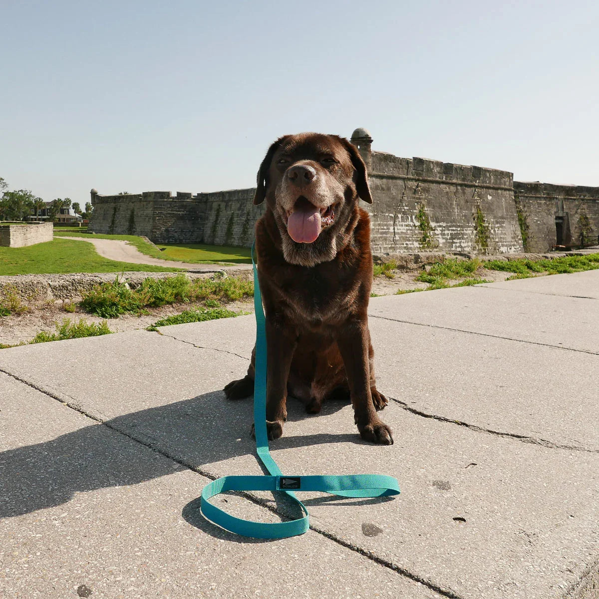 Labrador retriever on blue leash sitting on path by stone fortress, GORUCK rucking gear theme