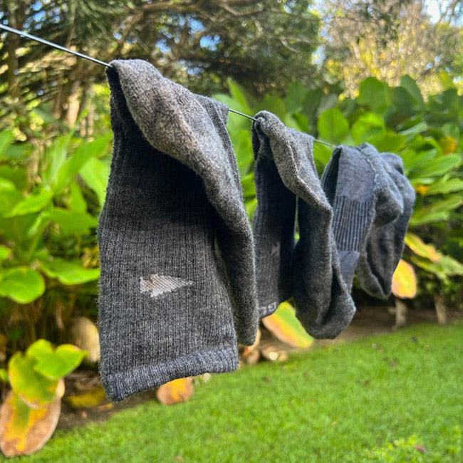 Gray socks hanging on a line to dry outdoors, with green plants and grass in the background.