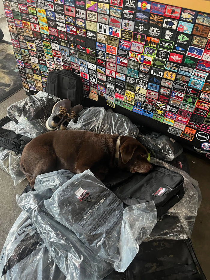 Brown dog resting on GORUCK rucksacks with club patch wall in the background