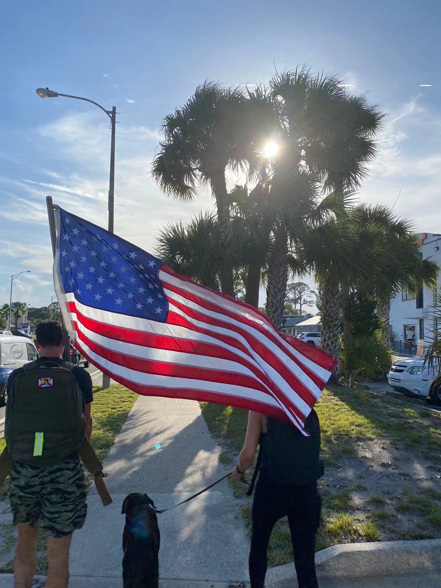 Two people rucking with a large American flag and dog on a sunny sidewalk near palm trees.