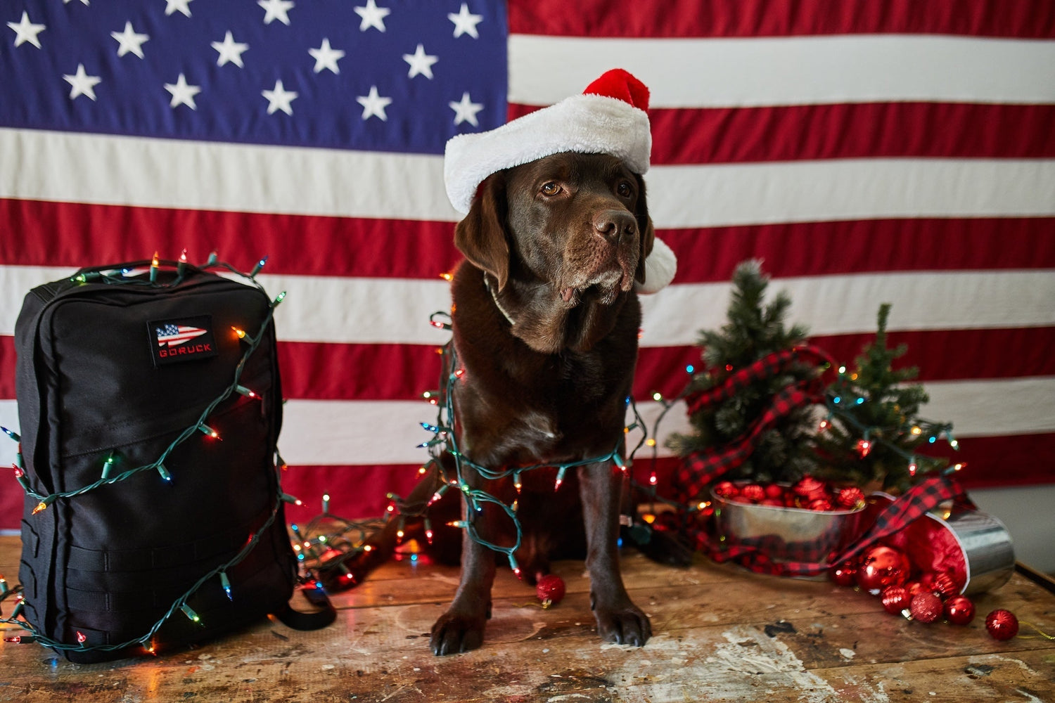 Chocolate lab wearing Santa hat with Christmas lights and GORUCK rucksack in front of American flag