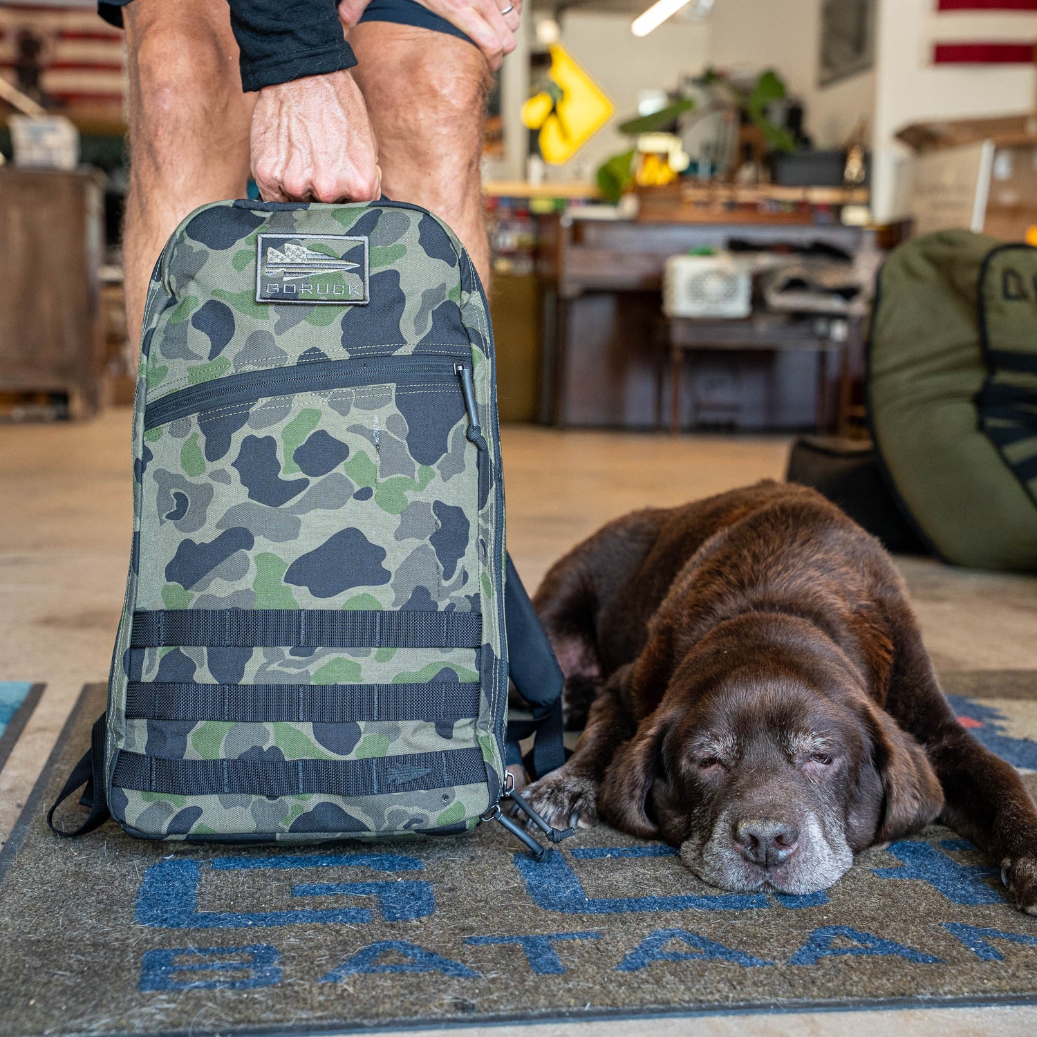 A person holds the Bullet Ruck Classic - Ballistic Nylon Cordura 15L daypack while a brown dog lies on the floor beside it in a cozy room.