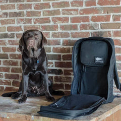 Chocolate Labrador next to open black GORUCK GR2 backpack on wood table, brick wall background