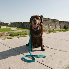 Labrador retriever on blue leash sitting on path by stone fortress, GORUCK rucking gear theme