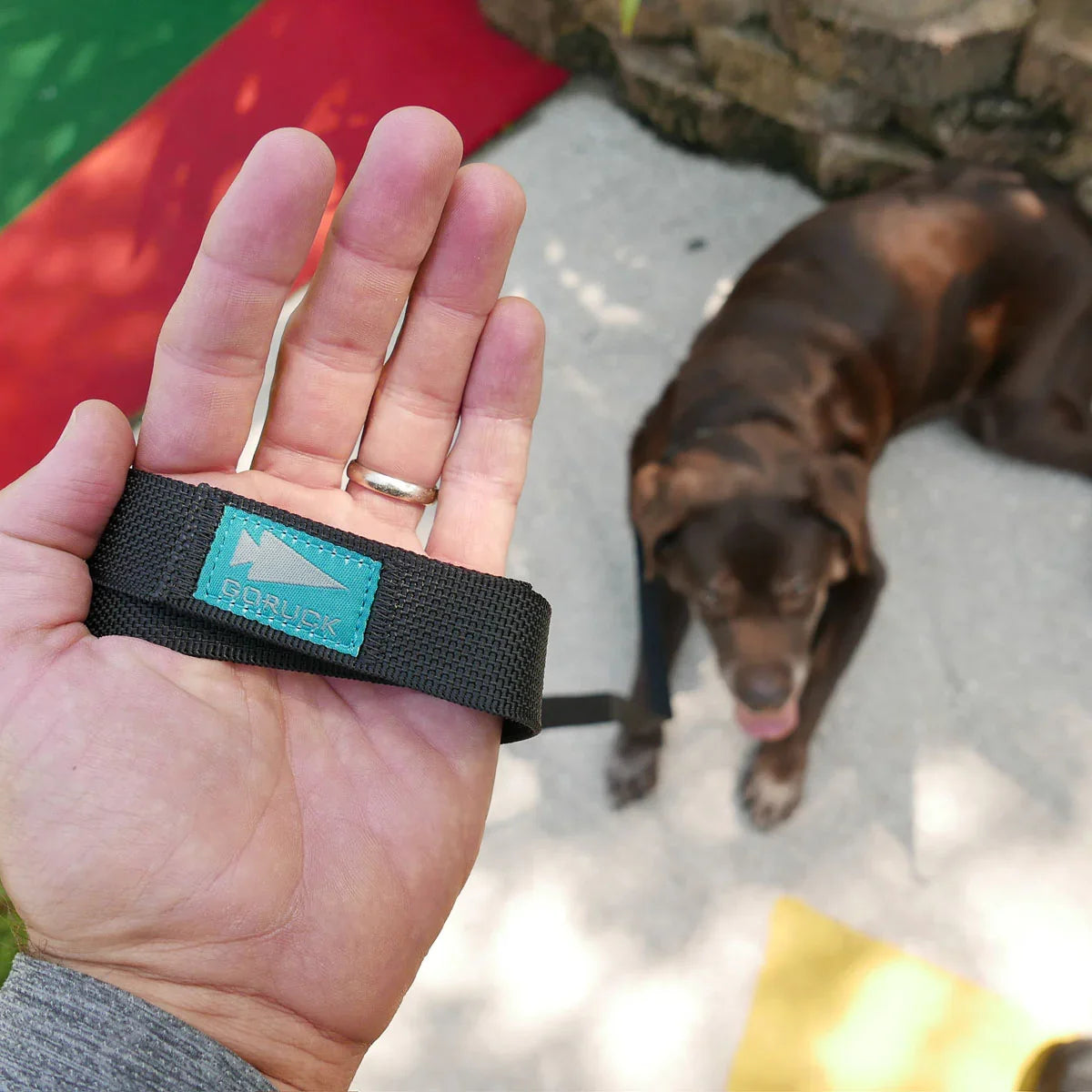 GORUCK branded dog leash held in hand, with brown dog lying on pavement outdoors