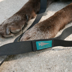 GORUCK branded black leash on a dog's front paws resting on concrete