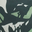Coastal Camo