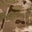 Multicam Arid