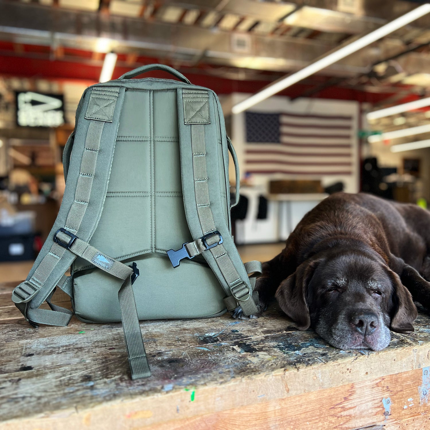 A Rucker 5.0 and a sleeping brown dog rest on a wooden table in a workshop, with an American flag in the background.