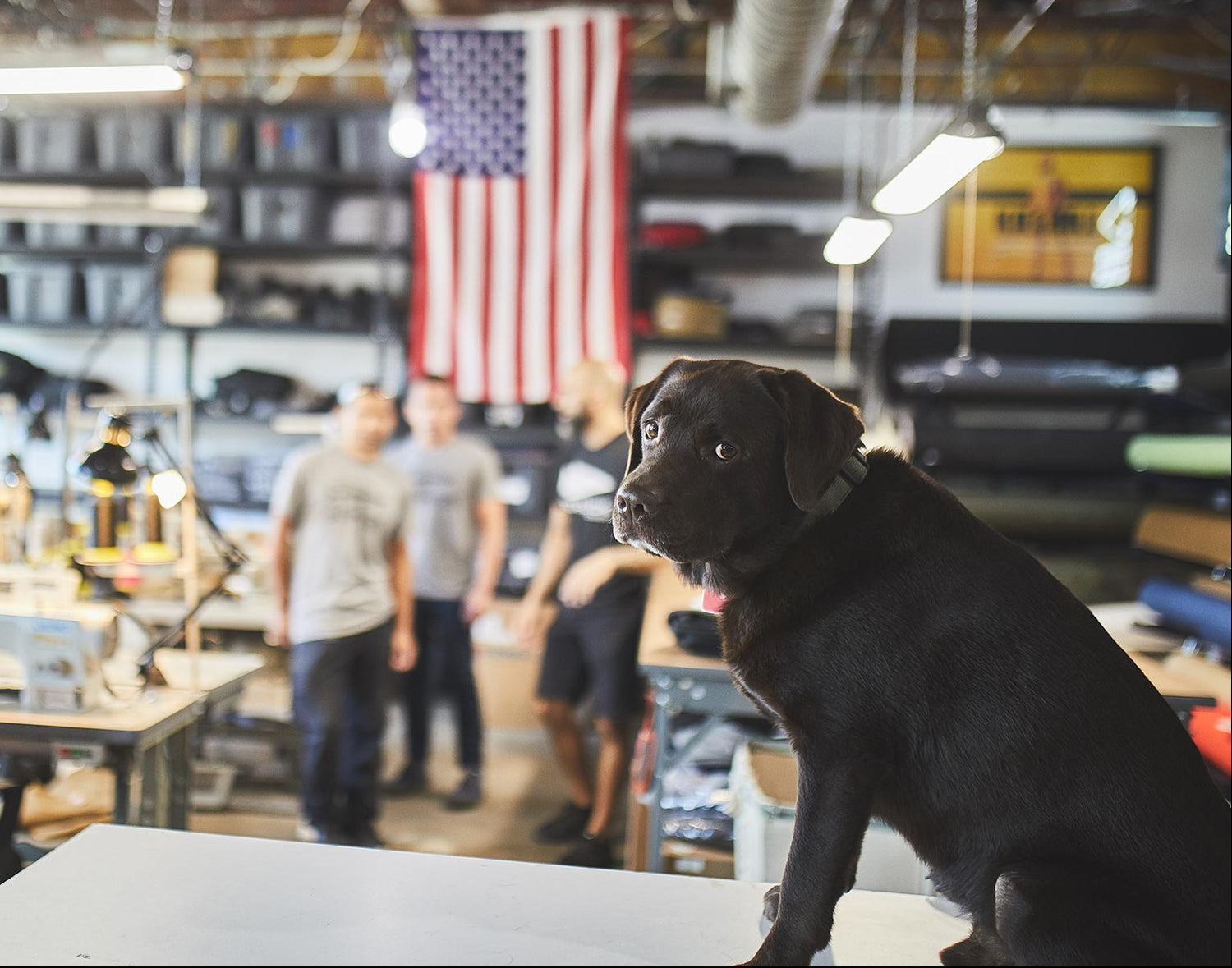 Black labrador sits on a table in a workshop; U.S. flag and people in the background, out of focus.