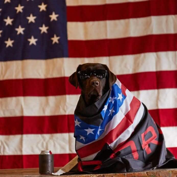 Dog wearing sunglasses and GORUCK flag in front of American flag backdrop