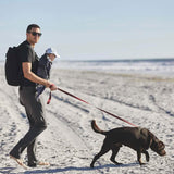 Man in charcoal pants with backpack carrying baby and walking dog on sandy beach